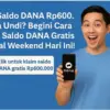 Klaim Saldo DANA Gratis