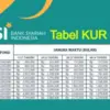 KUR BSI 2025