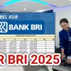 KUR BRI 2025
