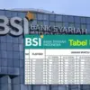 KUR BSI 2025