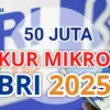 KUR MIKRO BRI 2025