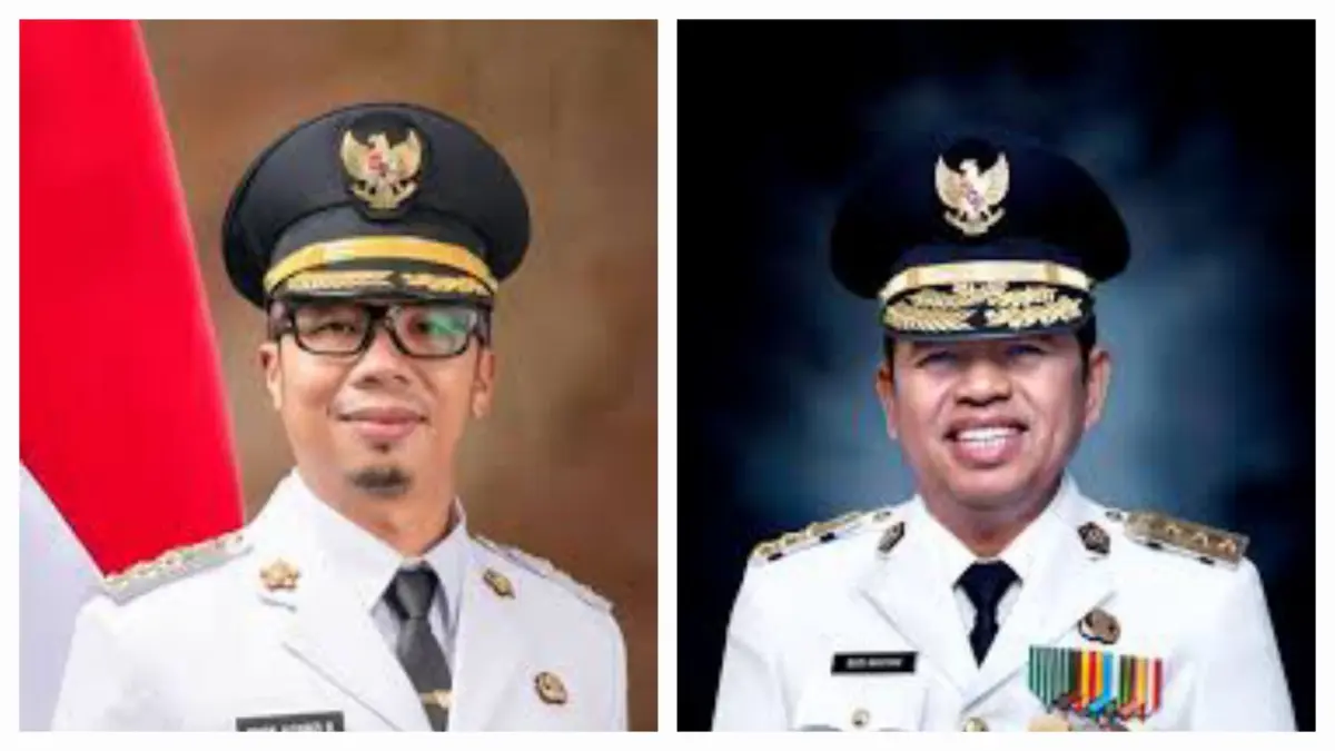 Viman dan dedi