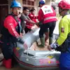 banjir sukaresik