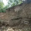 Kehutanan dan Perkebunan Kabupaten Pangandaran