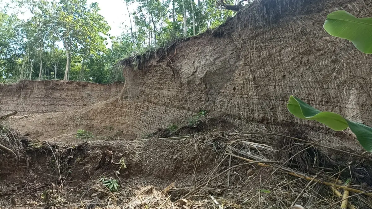 Kehutanan dan Perkebunan Kabupaten Pangandaran