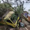 Truk Tabrak Pohon Petai