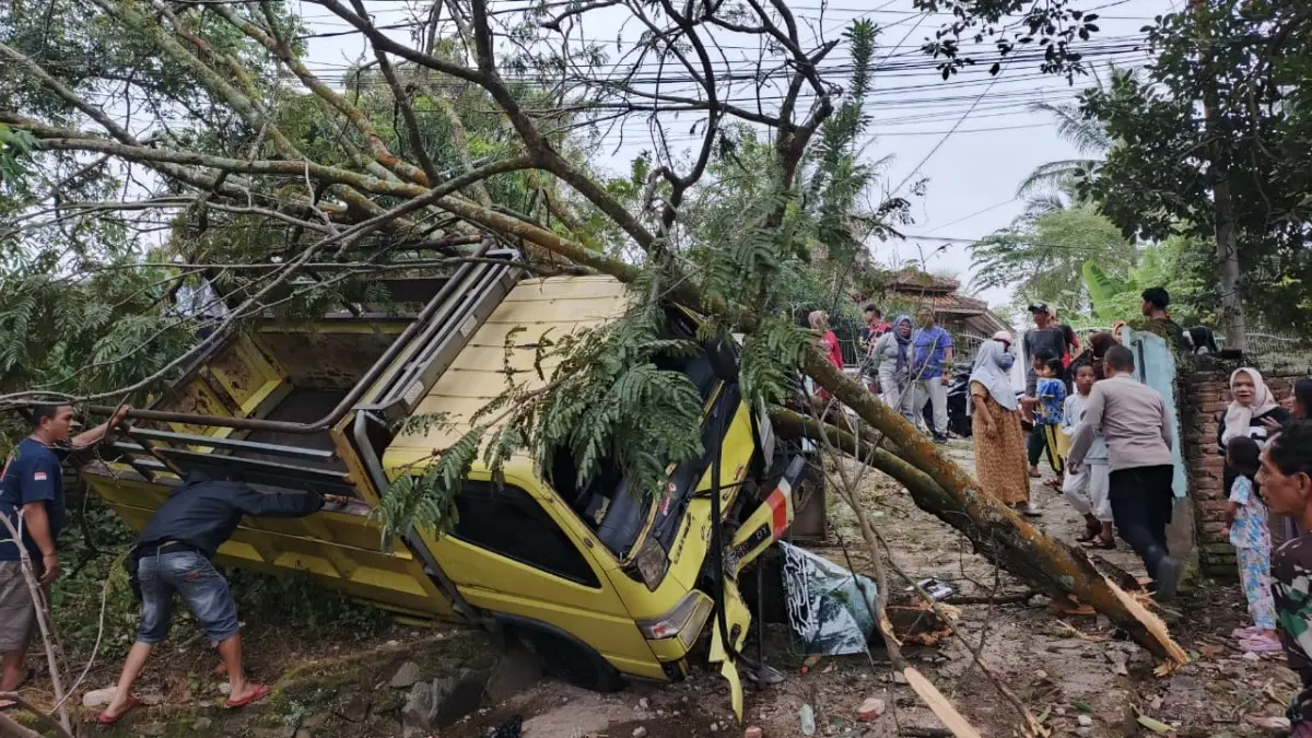 Truk Tabrak Pohon Petai