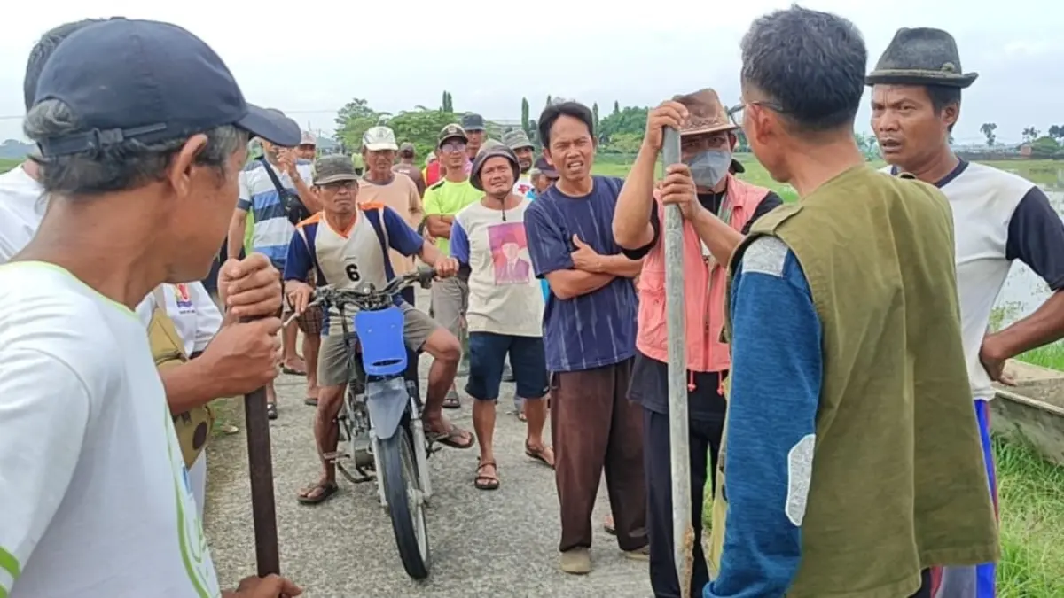 Dinas Pertanian Kabupaten Pangandaran Mendata Sawah Terendam Banjir