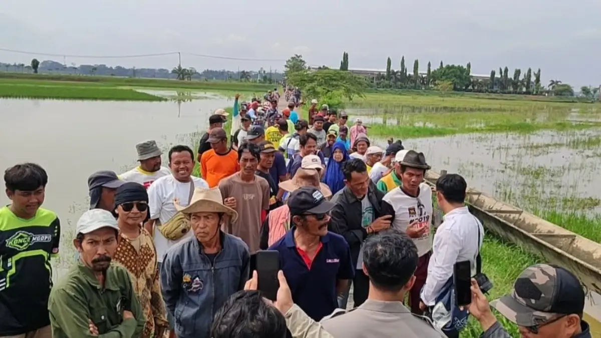 Sawah di Desa Maruyungsari dan Desa Paledah Sering Terendam Banjir
