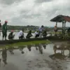 petani pangandaran