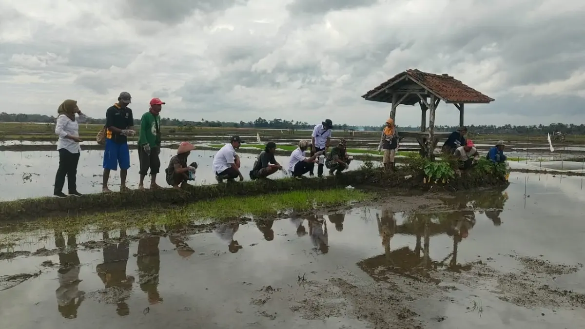 petani pangandaran