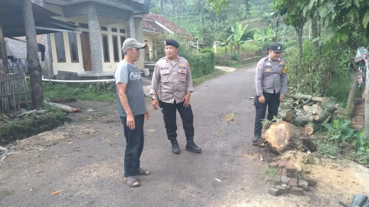 Pohon Tumbang Timpa Rumah Warga di Garut
