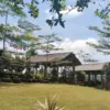 Puncak Manci