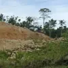 tambang ilegal galian c di pangandaran