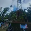 tower di Pamagangan pangandaran