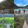 Keindahan Ciwidey dan Pangalengan (istimewa: kolase getyourguide.com)