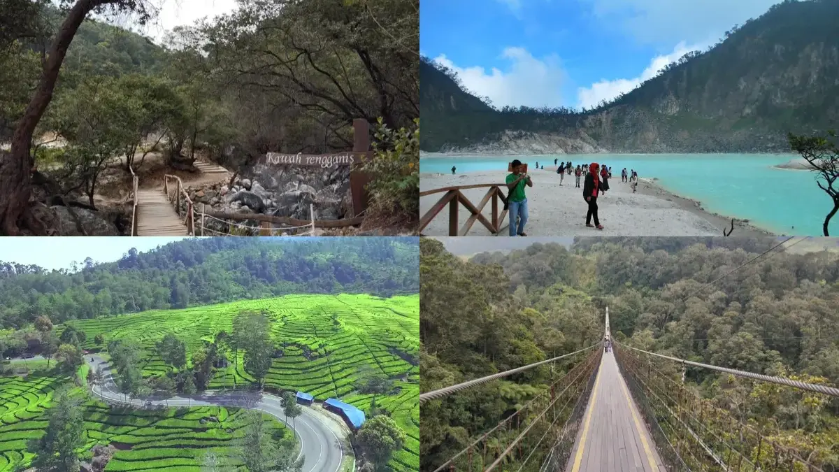 Keindahan Ciwidey dan Pangalengan (istimewa: kolase getyourguide.com)
