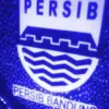 Persib Hadapi Klub Belanda PSV Eindhoven