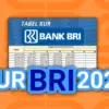 KUR BRI 2025