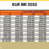 KUR BRI 2025