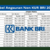 Non KUR BRI