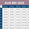 KUR BRI