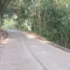 Dinas PUTRLH Kabupaten Tasikmalaya