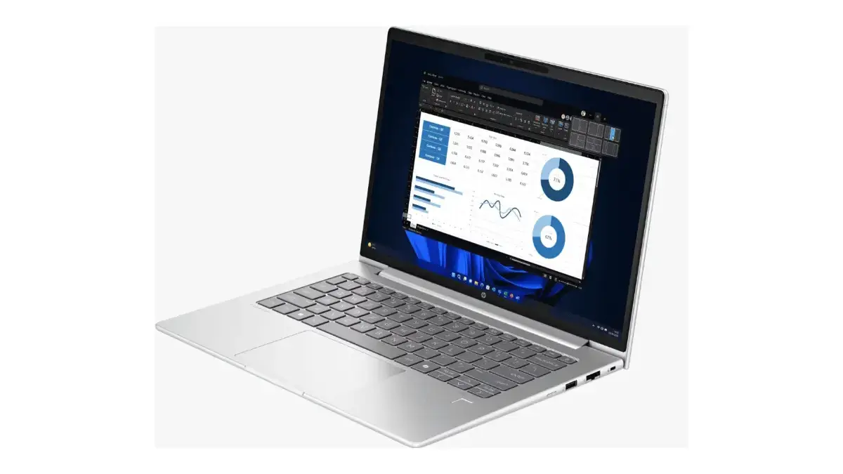 HP ProBook 445 14 inch G11 (istimewa: hp.com)