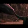 How to Train Your Dragon