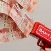 dana desa