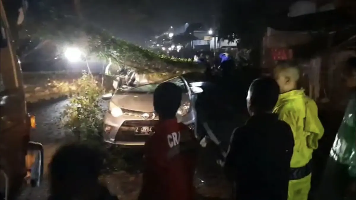 Pohon tumbang menimpa mobil, korban anggota polisi meninggal