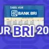 KUR BRI 2025