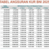 KUR BNI 2025