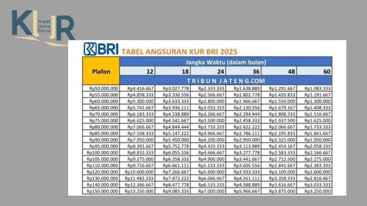 kur bri 2025