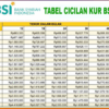 KUR BSI 2025