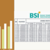 KUR BSI 2025