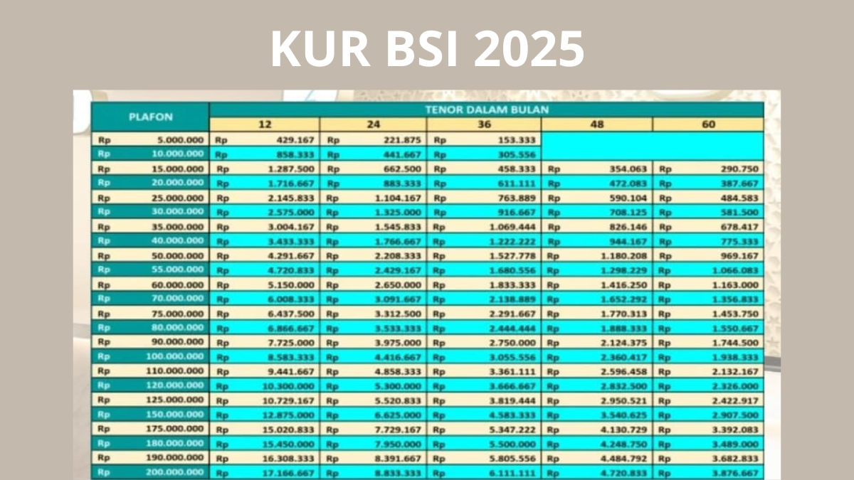 KUR BSI 2025