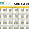 KUR BSI 2025