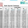KUR BSI 2025