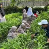 KWT Karya Galunggung Tasikmalaya