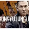 Mega Film Asia: Kungfu Jungle (istimewa: indosiar.com)