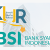 KUR BSI 2025