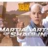 Mega Film Asia: Martial Arts Of Shaolin (istimewa: indosiar.com)