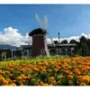 Minimania Lembang (istimewa: cimorydairyland.com)