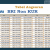 Non KUR BRI