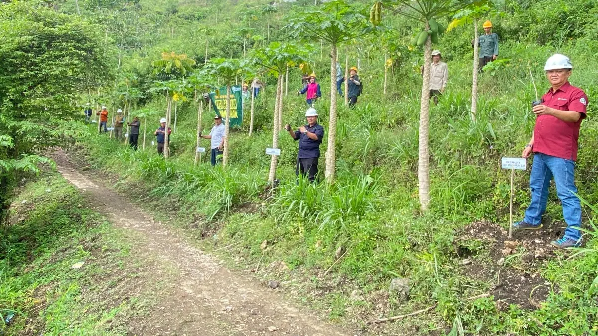 Perhutani Tasikmalaya