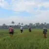 Petani Pasirhuni Ciawi Kabupaten Tasikmalaya