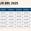 KUR BRI 2025