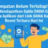 DANA Kaget