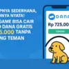 Saldo DANA Gratis